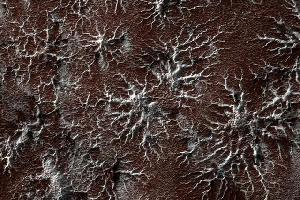 火星南极出现奇物的类似蜘蛛结构