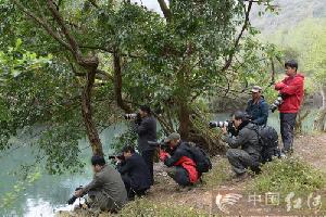泸西县摄影家协会组织会员赴罗平采风