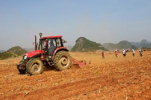 罗平县红高粱开始播种