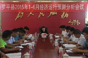 罗平县召开2015年1—6月经济运行预测分析会