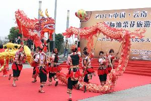罗平县举办二月二民俗文化活动