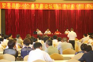 罗平县举行中小企业发展论坛暨品牌建设专题讲座