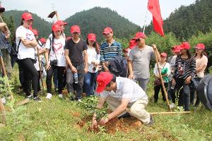 罗平县机关团工委组织开展义务植树活动