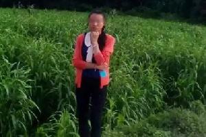 云南罗平15岁女孩离家外出失联已遇害 嫌犯系同村长辈
