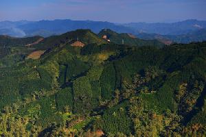 “十三五”罗平森林覆盖率有望突破47.5 %
