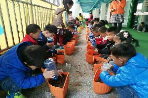 罗平县红星幼儿园“寻找春天”主题活动受青睐